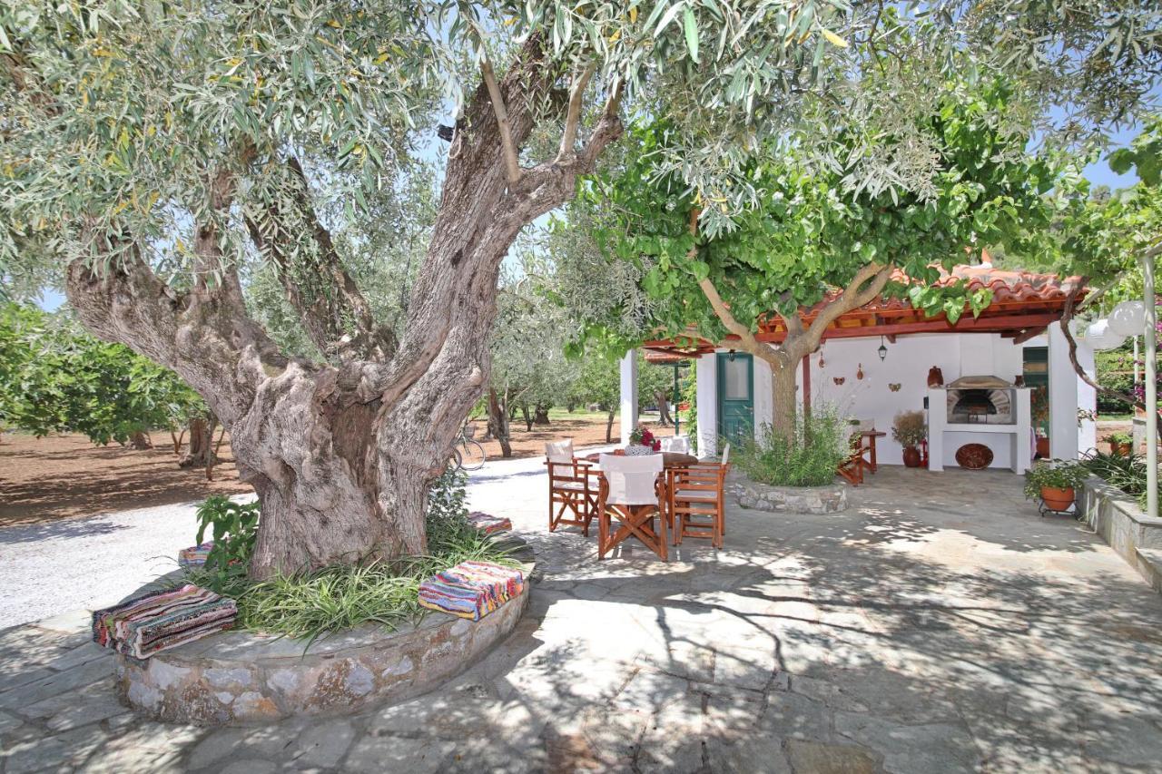 Apartamento Katerina Panormos  Exterior foto